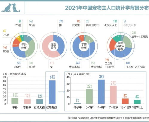 网络技术服务 连接未来，赋能数字生活