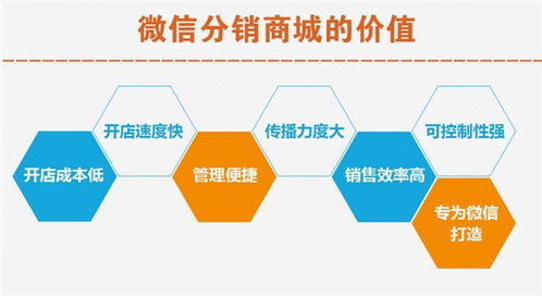 高密网络推广服务哪家好？凤鸣网络技术专业领航